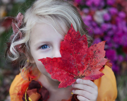 The First Red Leaf