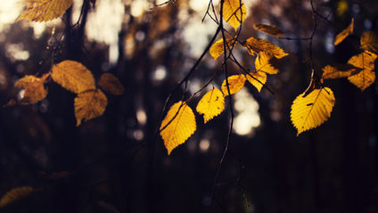 When Seasons bring Hope